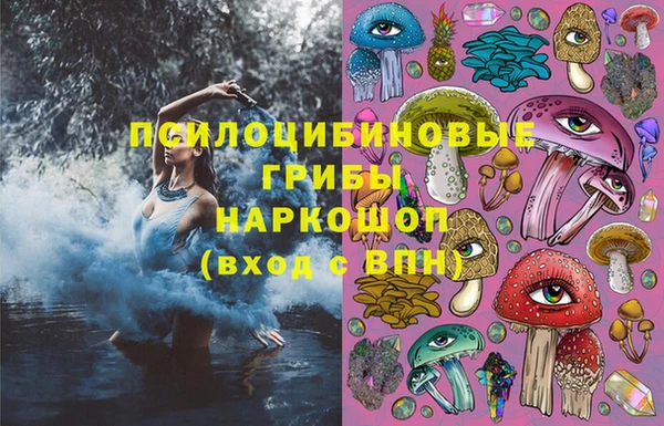 экстази Гусь-Хрустальный