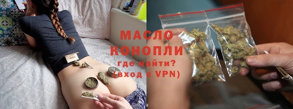 прущий лед Дмитриев