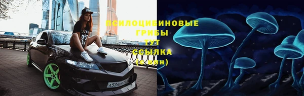 ГАЛЛЮЦИНОГЕННЫЕ ГРИБЫ Дмитровск