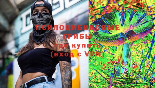 прущий лед Дмитриев