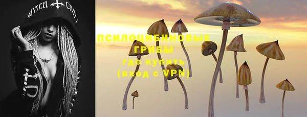 экстази Гусь-Хрустальный
