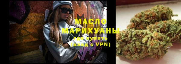 прущий лед Дмитриев