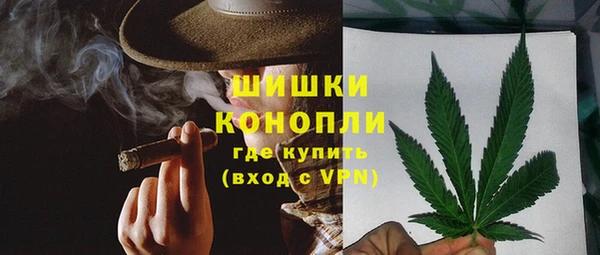 не бодяженный Гусев